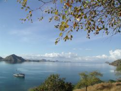 View from atop Komodo Island by Dale Treadway 